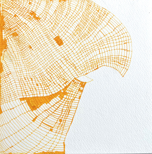 Solar Topography