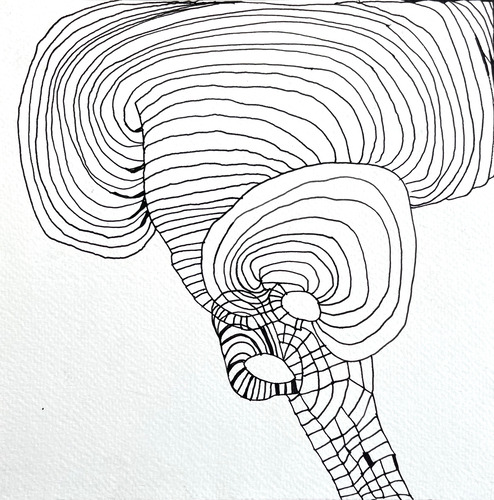 Inkscape Echo