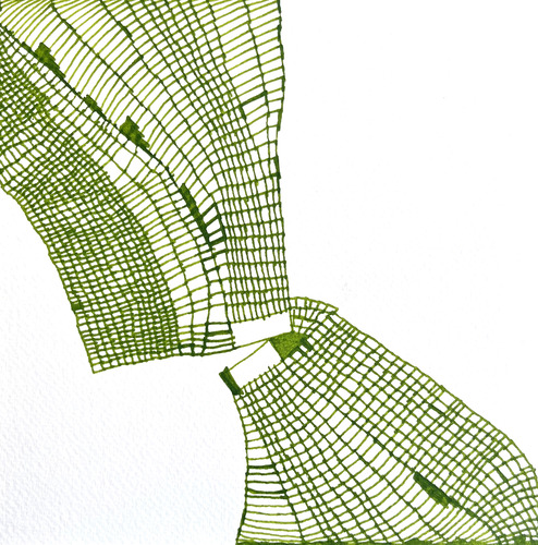 Fern-Line Crossing