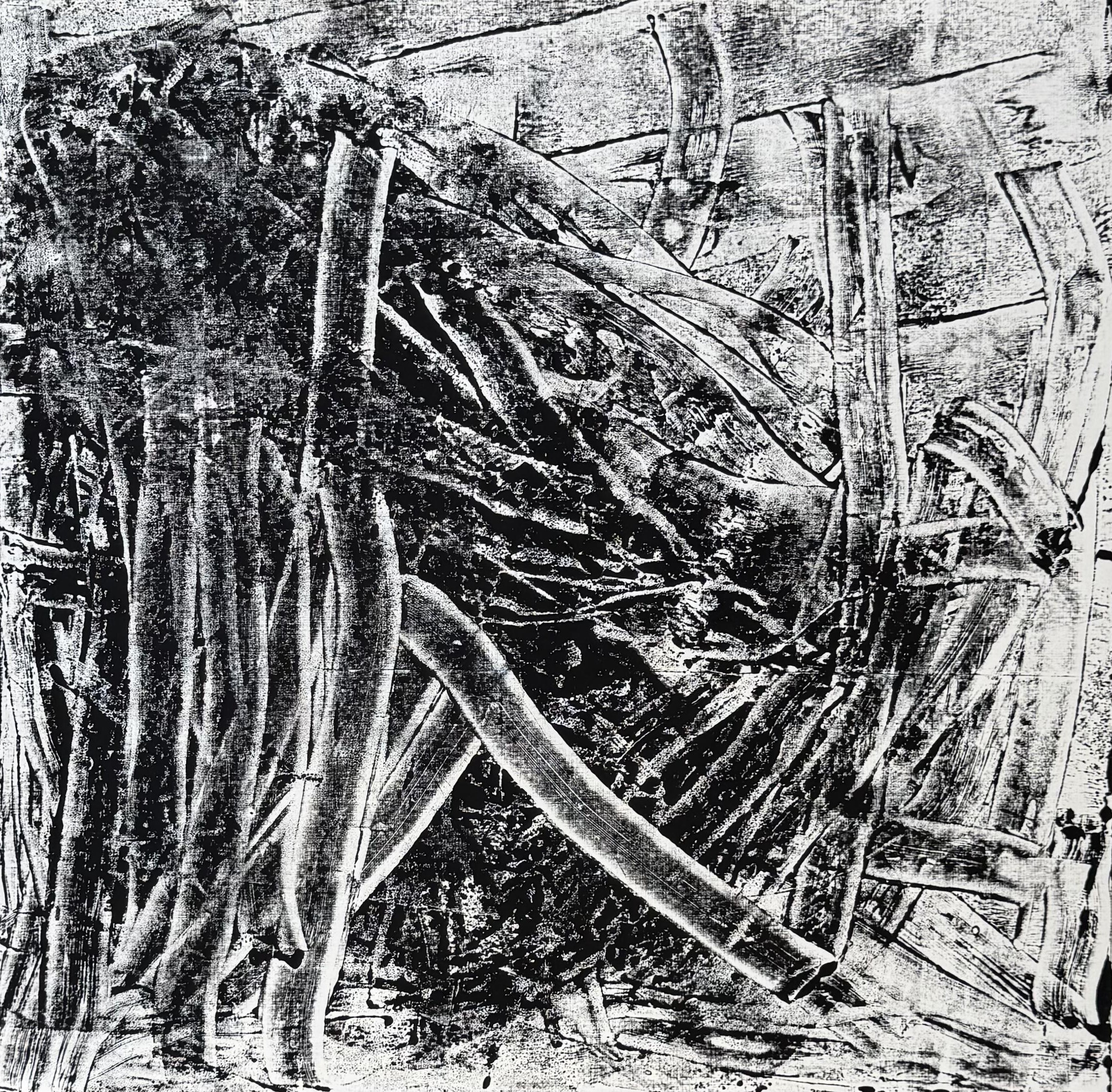 Forest Depths
