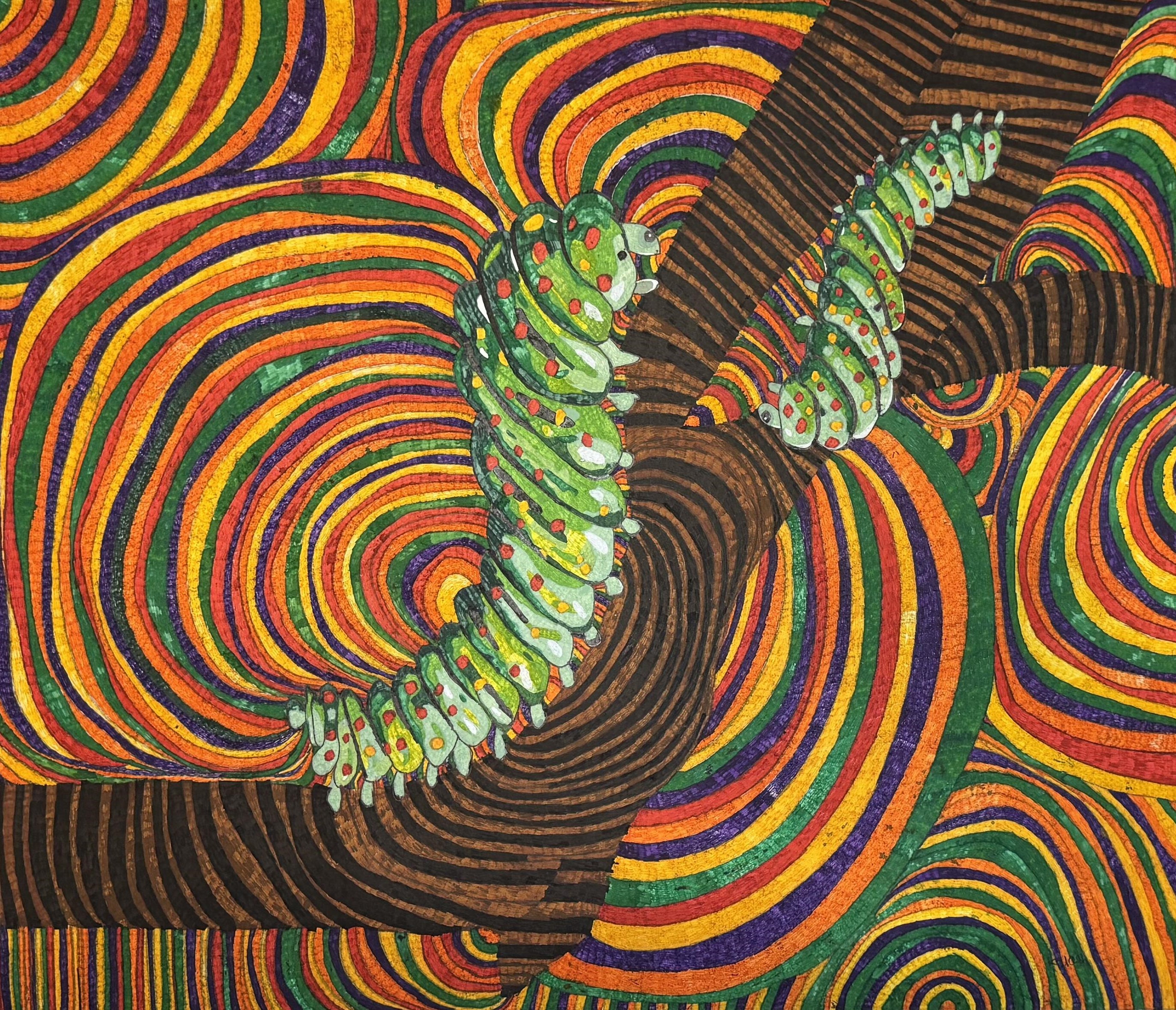 A Journey Through Color