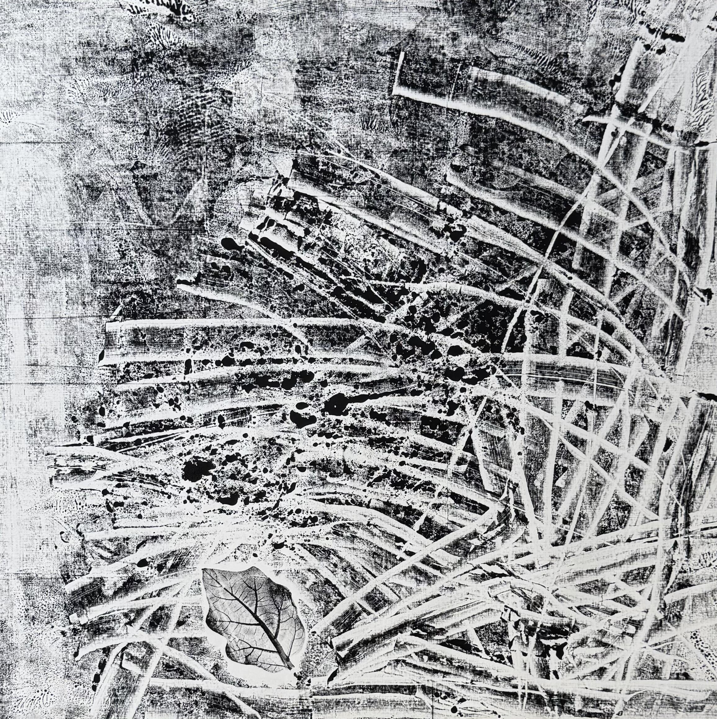 Bamboo