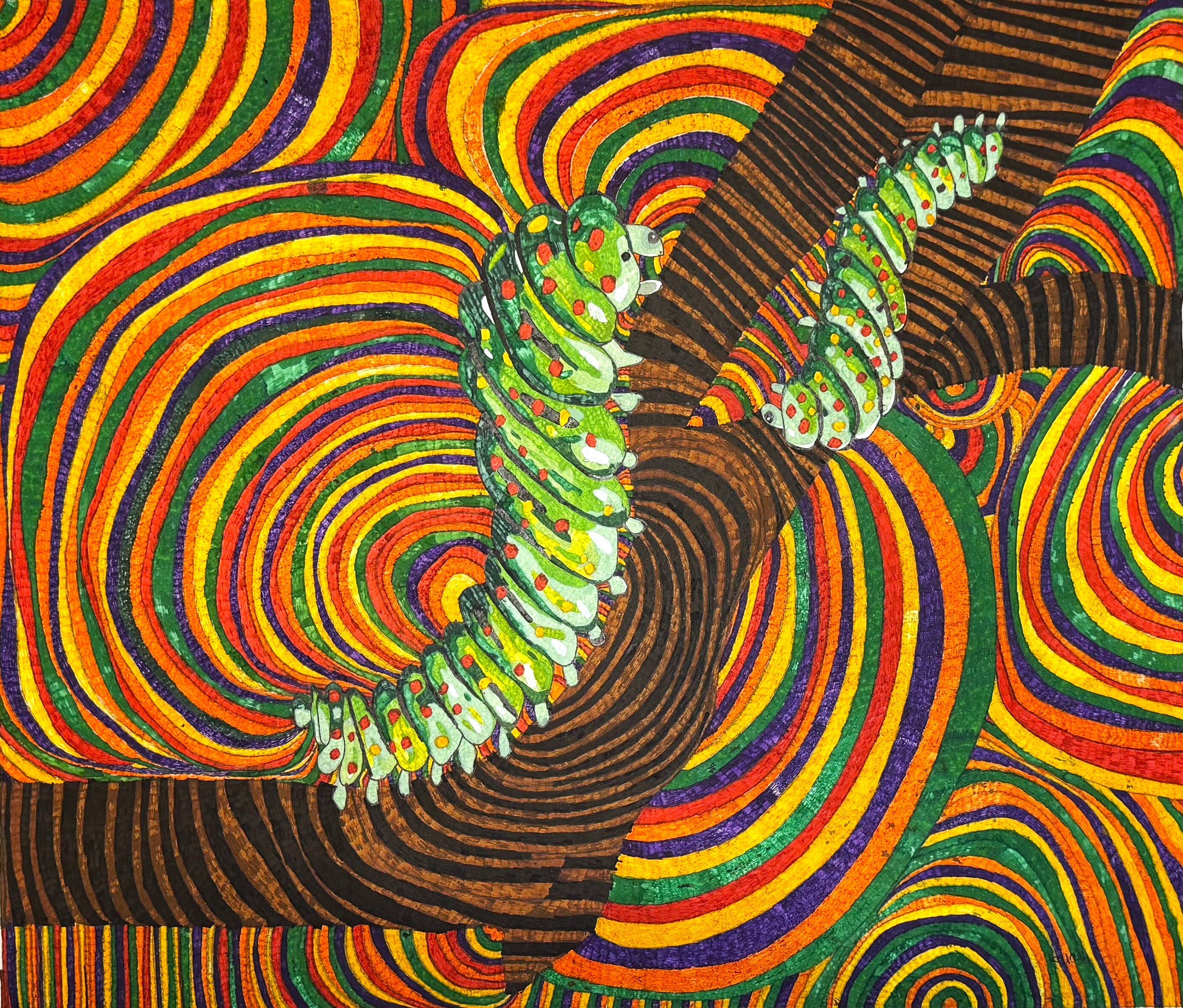 A Journey Through Color