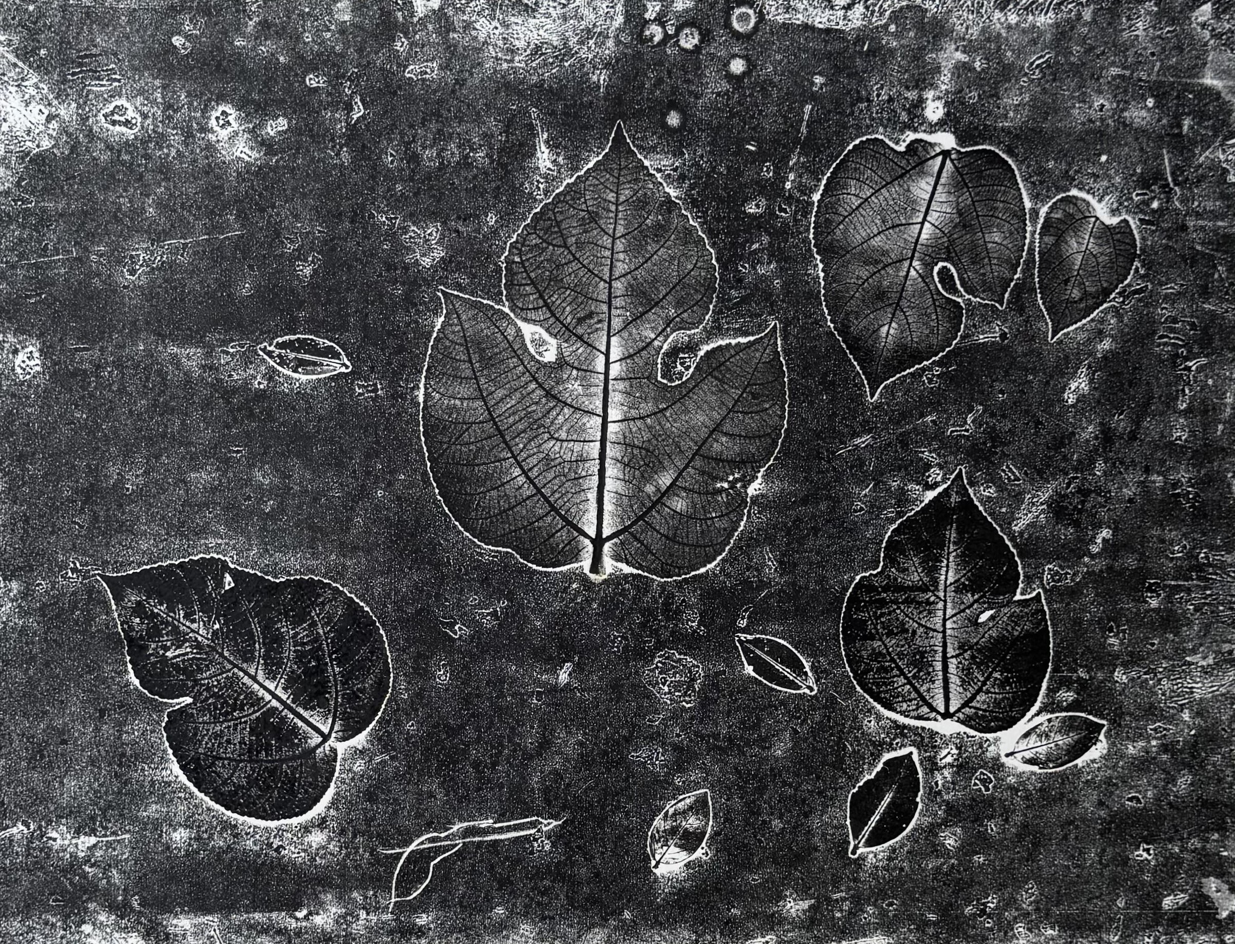 Nature's Imprint